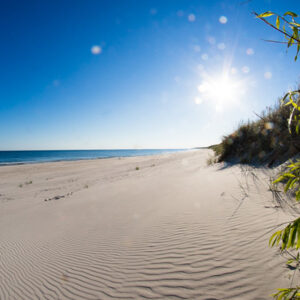 Zapraszam Ciebie na warsztaty empatycznej i terapeutycznej jogi.